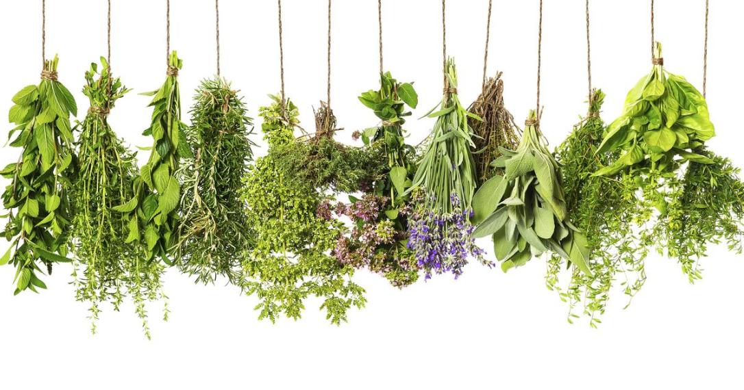 19780ce78a7a434220ea