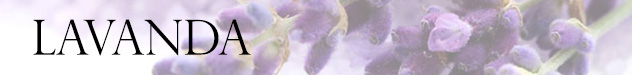 LAVANDA