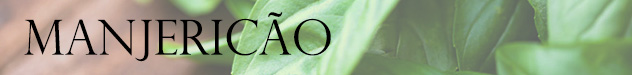 MANJERICAO